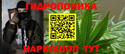 гидра Обь
