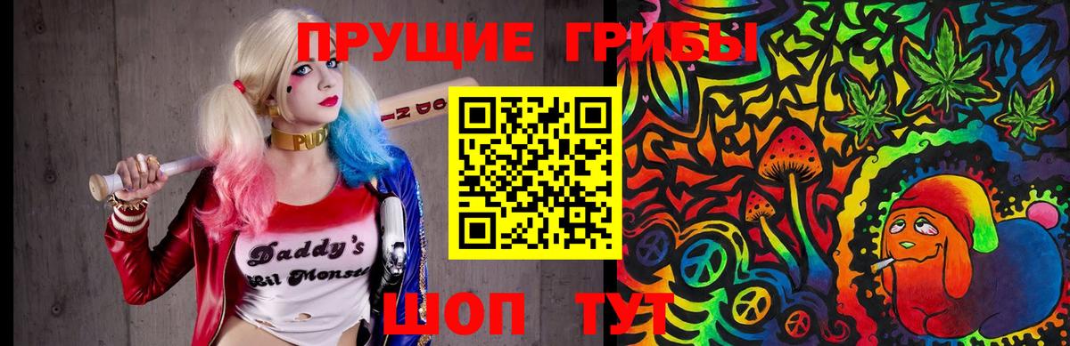 Галлюциногенные грибы Psilocybe Урус-Мартан